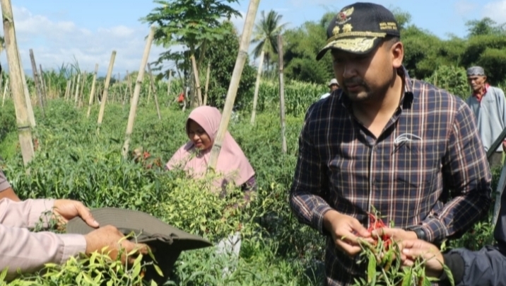 Wakil Gubernur Sumbar, Dr. Ir. Audy Joinaldy, S.Pt., M.Sc., M.M., I.P.M., ASEAN, Eng., Dt. Rajo Pasisia Alam melakukan kunjungan ke kelompok-kelompok tani di Payakumbuh