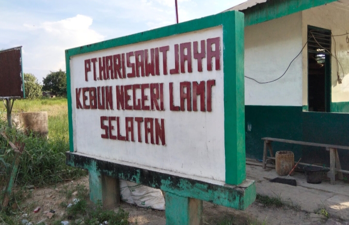 PT Perkebunan Hari Sawit Jaya [PT HSJ]